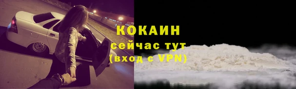 сатива Михайловск