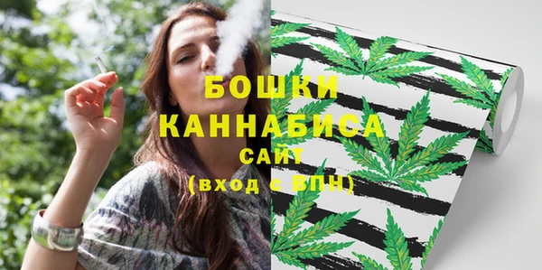 сатива Михайловск