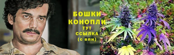 сатива Михайловск