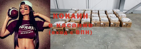 твердый Надым