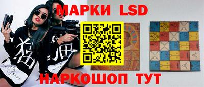 PSILOCYBIN Гатчина