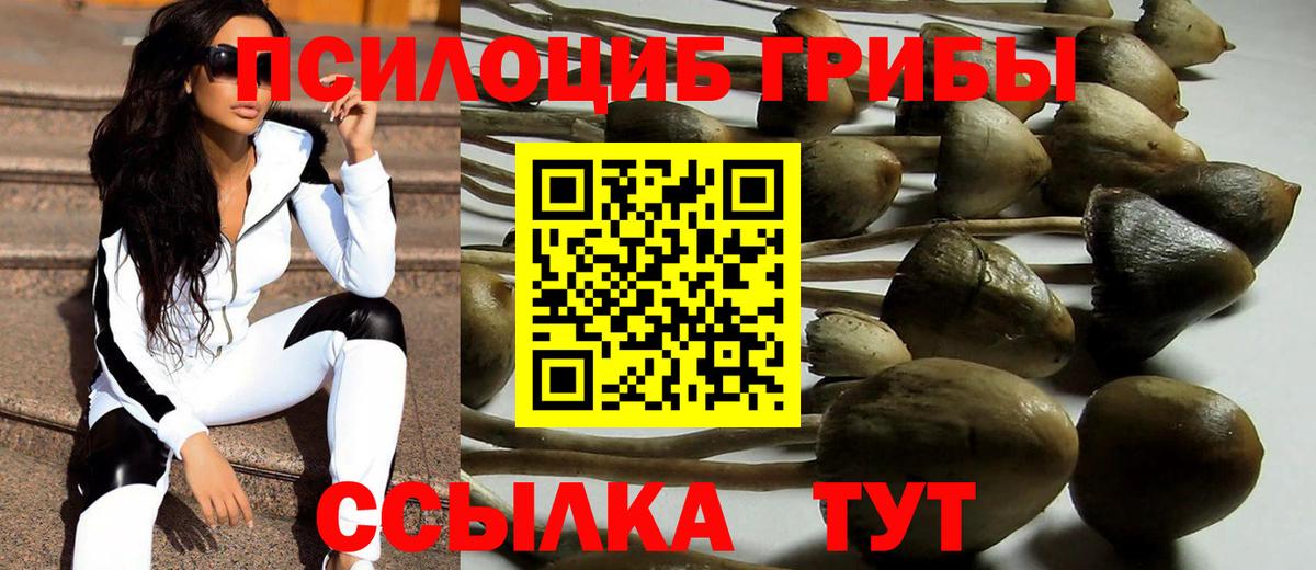 Псилоцибиновые грибы мухоморы  Псилоцибиновые грибы MAGIC MUSHROOMS  Донской 