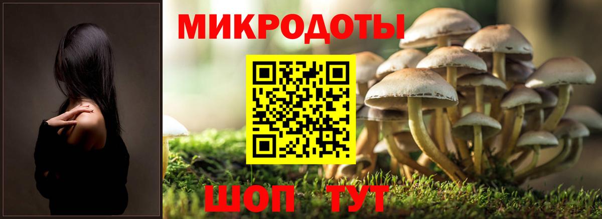 Галлюциногенные грибы мицелий Донской